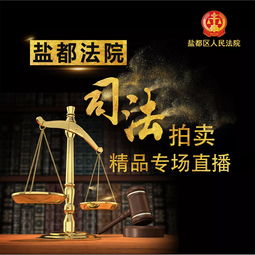 鹽都法院5.20司法拍賣精品等您帶走，法規解讀與操作指南